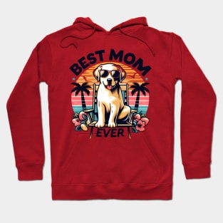 happy mother's day dog moms funny Hoodie